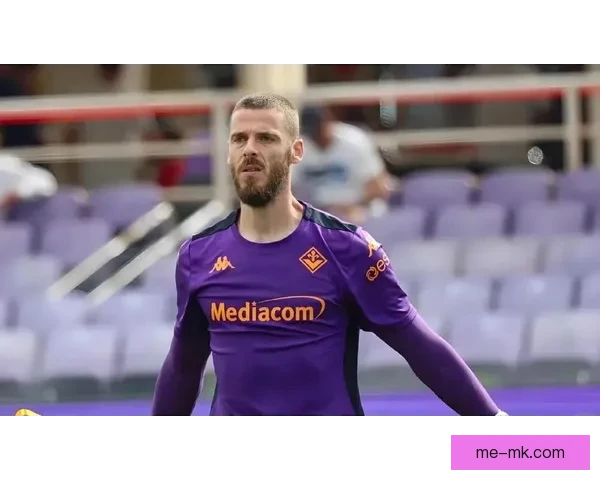 佛罗伦萨免签德赫亚一年意甲赛场再现神级扑救实力依旧