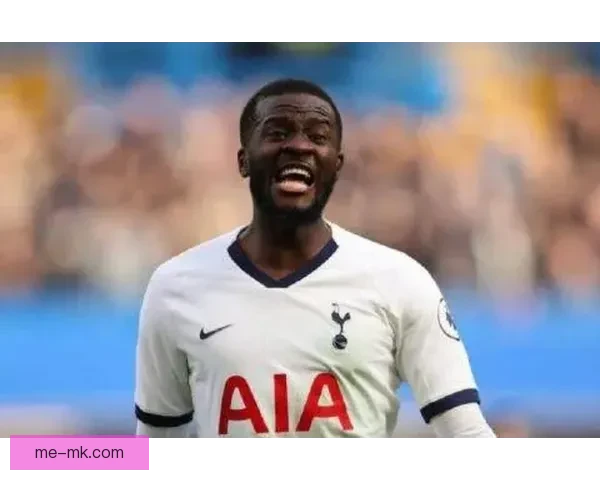 恩东贝莱与热刺解约后自由转会加盟法甲尼斯开启新篇章